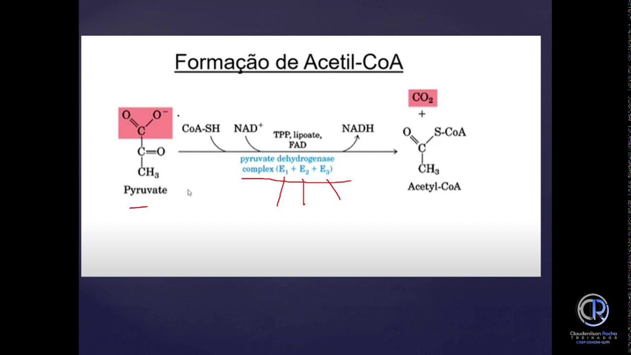 SISTEMA AERÓBICO. COMPLEXO PIRUVATO DESIDROGENASE.