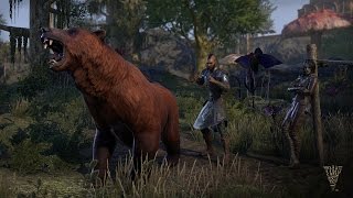 The Elder Scrolls Online: Morrowind (DVD-ROM) video 1