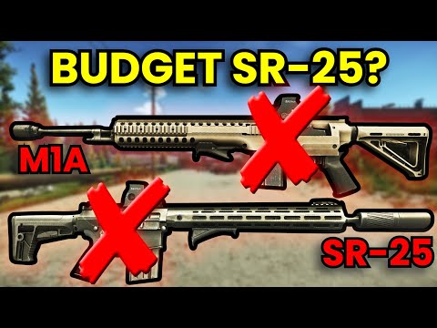 Can The SR-25 & M1A Still Be Budget In 12.12.30? #ad