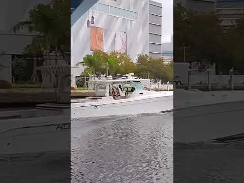 Miami Live Short Video #4667
