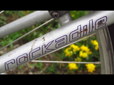 If you can't DUCK it, F@#K it: the MONGOOSE PRO ROCKADILE GIRLS' MOUNTAIN BIKE!