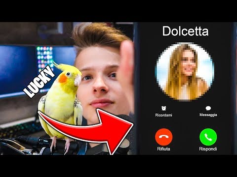 Chi è DOLCETTA nella VITA REALE? - #Sbrisposte