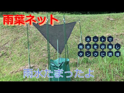 園芸 雨水を集めるにはどうすればいいですか?