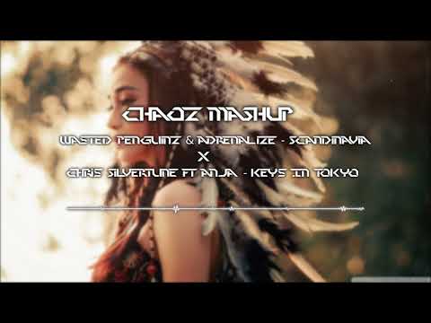 Wasted Penguinz & Adrenalize x Chris Silvertune Feat. Anja [Chaoz MashUp][HQ]