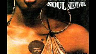 Pete Rock - Soul Survivor - "Tru Master"