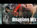 AMAPIANO MIX | BEST OF AMAPIANO | VOL 2 | DJ PEREZ (MAJOR LEAGUE DJZ, DJ MAPHORISA,MR JAZZIQ,Lady Du