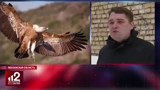 Страшные тайны цирка: в Пензе дрессировщика уличили в живодерстве (РЕН ТВ)