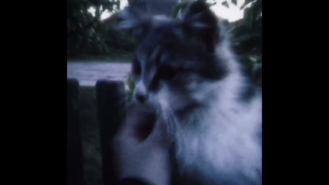 a long time ago, i was happy