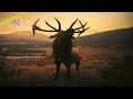Kosheen - Resist Full Album