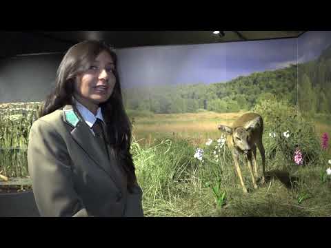 Wędrówka meandrami Słupi