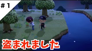 【あつ森】村の資材を奪われました。。。【どうぶつの森】＃１