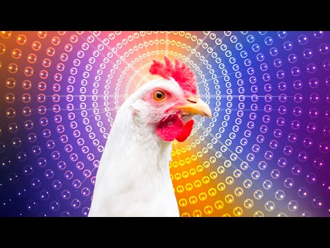 jeco chicken song & chicken dance | sweet remix | j.geco