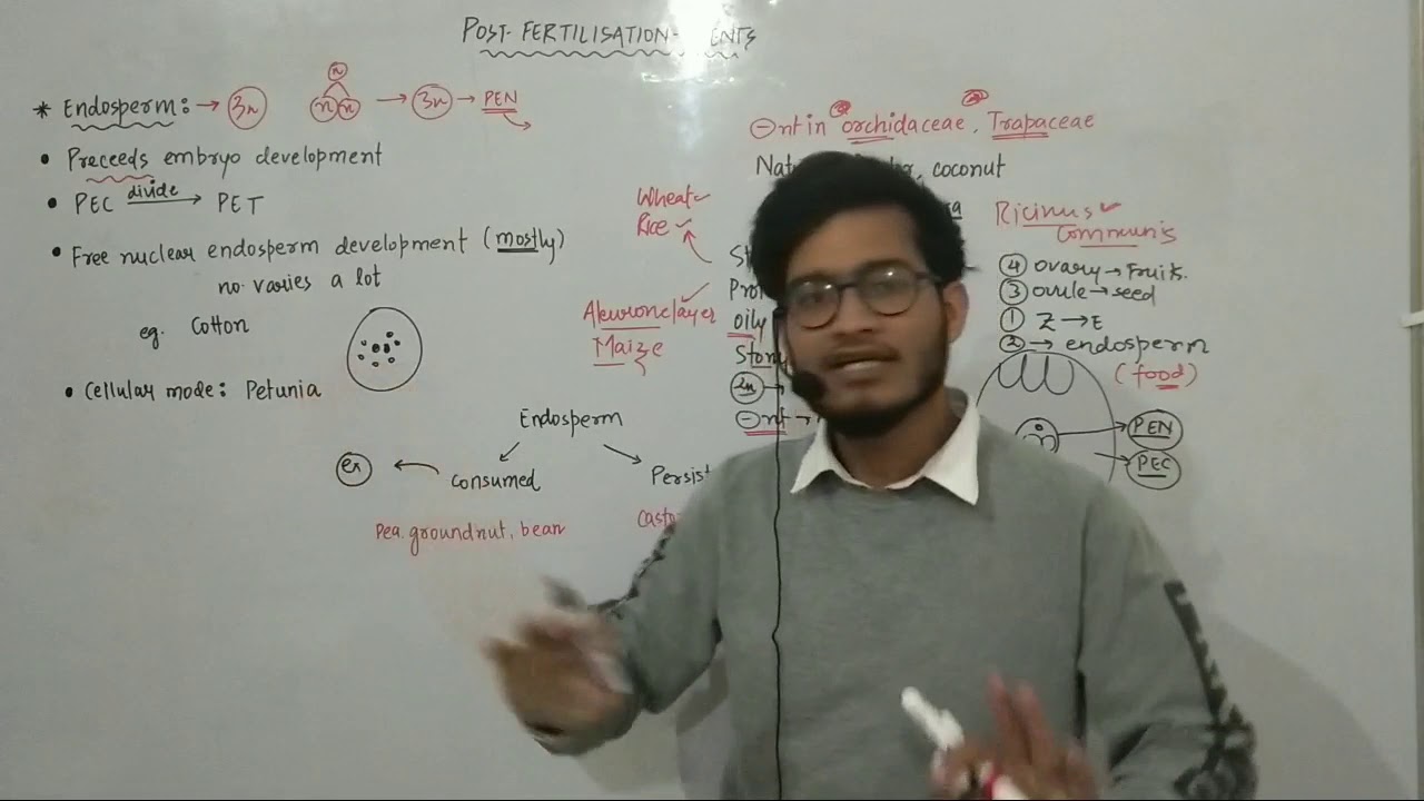 L26: Post fertilisation events- Endosperm development in detail with exceptions