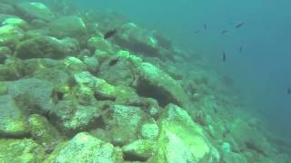 preview picture of video 'GoPro Hero 3 Black Edition. Underwater video from Kalkan'