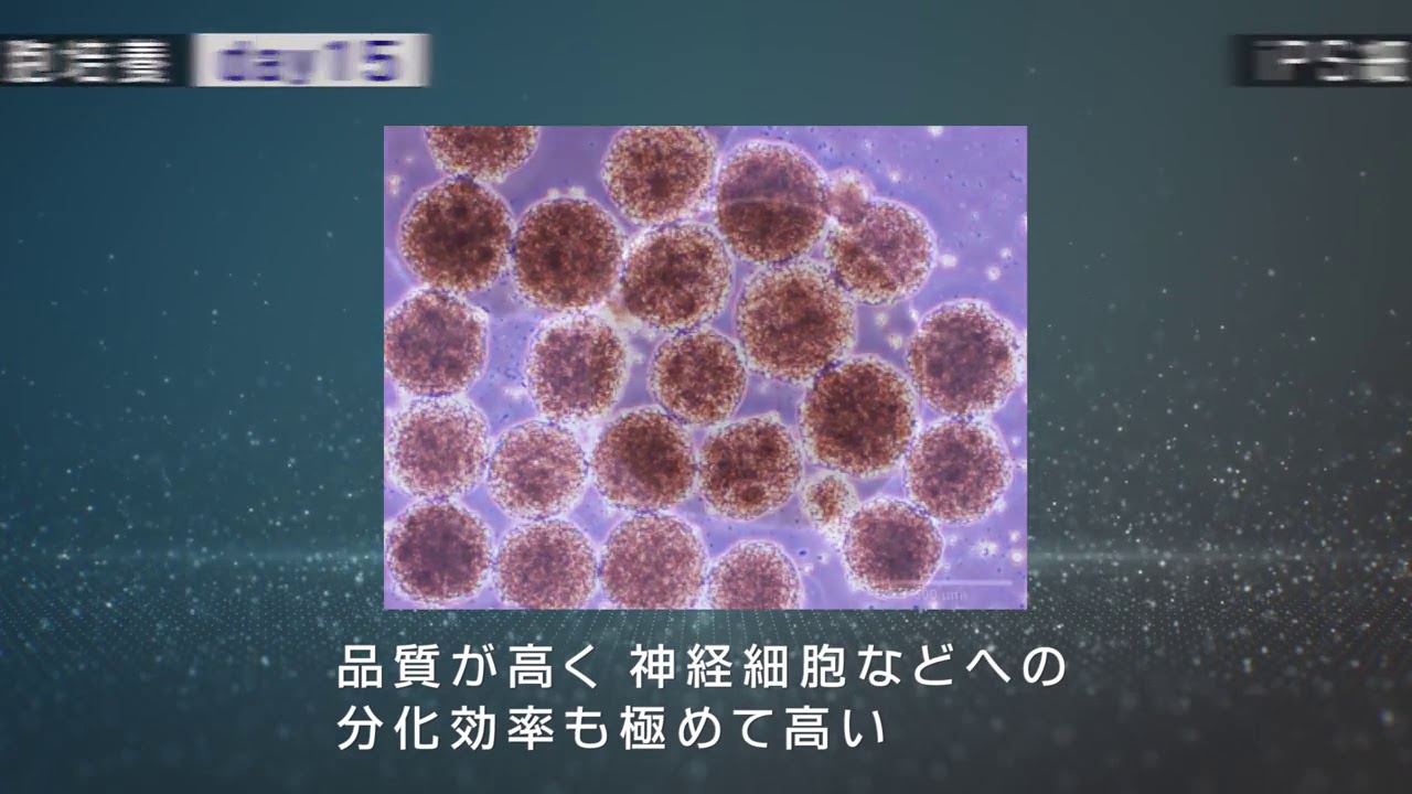 佐竹化学機械工業株式会社