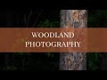 Exploring Local Woodland | Pinhey Forest | Landscape Photography