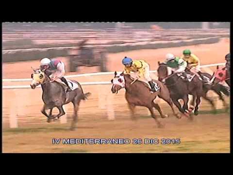 Galoppo corse del 26 Dicembre 2015