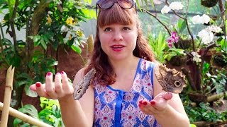 Butterfly sanctuary on the way to Quito