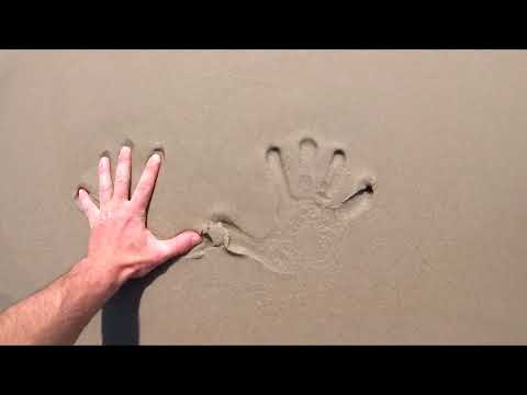 ESSEX MOSQ - Chciałbym znów (VitoBigiBoi x Rudxbwooy Remix) (VIDEO)