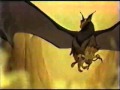 Quest For Camelot Theatrical Release TV Ad