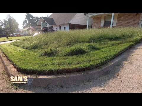 2 months no mow | Satisfying lawn mowing | Bagging WET grass | TALL grass mow | FREE