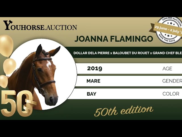 Joanna Flamingo showvideo