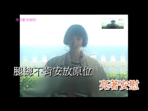 陳慧嫻   跳舞街 MV Karaoke Demo
