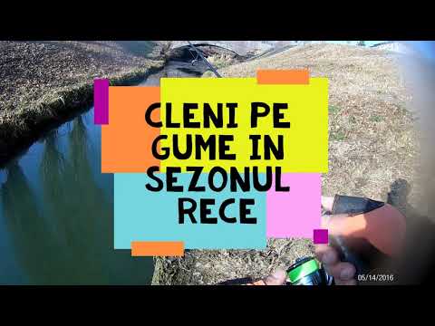 Microfishing la clean -Oradea urban chub fishing