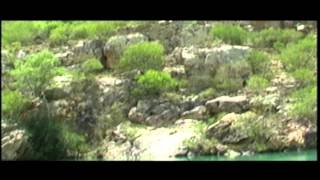 Passeio de Catamarã - Paulo Afonso - 05/04/2015 - 11h00