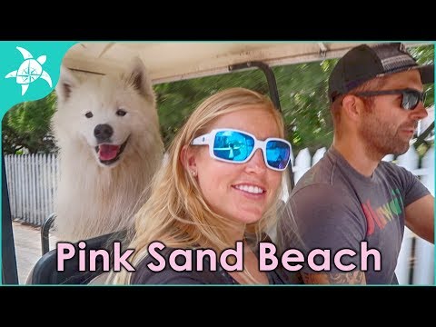 image-How do you get to pink sand beach in the Bahamas?