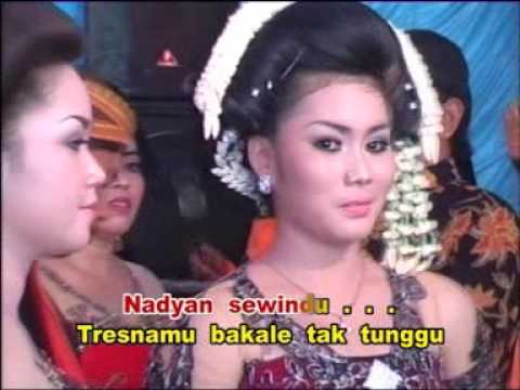 Mak'e Aris feat. Tomo - Kebluk Methok Tetesing Tresna (Official Music Video)