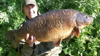 Fishies - Starring Ian Breslin