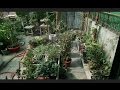 Kitchen Garden Overview Garden In Home Ideas May 2017 Gardening Sekho