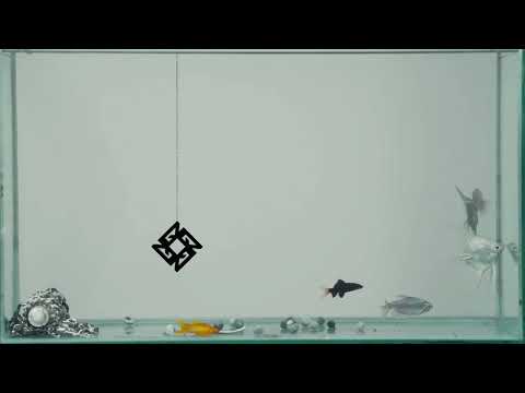 gyuris & grasa - bb feat. sofiya