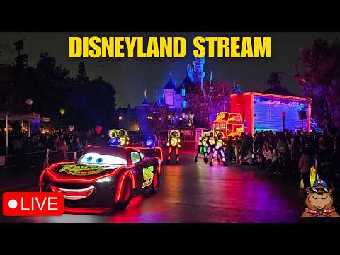 Live webcam of Koda Bear the Explorer 