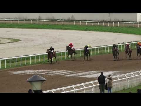10.4.2022 I Trka - HEBA Beogradski Hipodrom