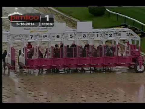 Pimlico 5/16/14 race 1 - Kattegats Pride Starter Hcp
