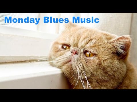 Cure Monday Blues with this beautiful Monday Blues Playlist of Monday Blues Music