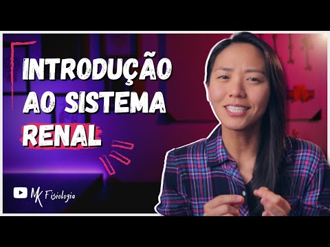 INTRODUCTION TO RENAL SYSTEM PHYSIOLOGY | MK Physiology
