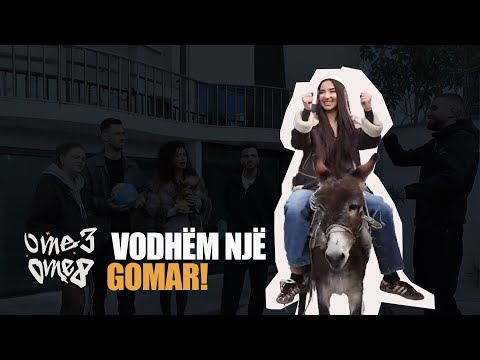 U kthyem në Tiranë me gomar. Sfida e mikpritjes! | O me 3, o me 8, EP. 18
