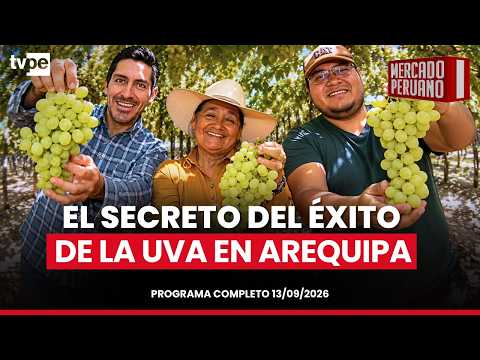 DEJARON TODO POR LA UVA: HOY EXPORTAN AL MUNDO 🍇 I "Mercado peruano"