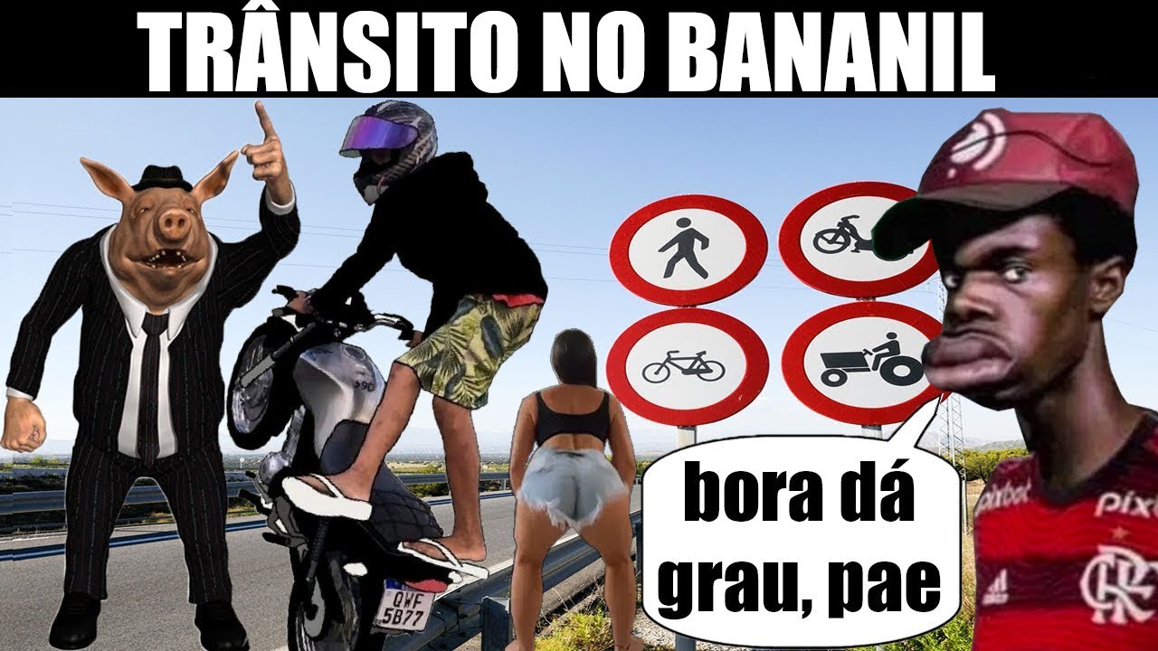 Trânsito no Brasil - Animais Degenerados