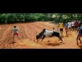 Jallikattu Varlam Varla Vaa Song Version