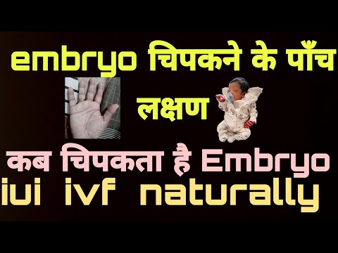 implantation symptoms When does implantation occur? #implantation #iui #embryotransfer #ivf