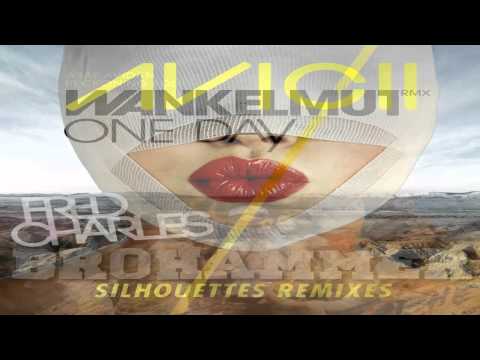 Asaf Avidan & Avicii Vs Nari & Milani & Syn Cole - Silhouettes Brohammer Day (Fred Charles Mashup)