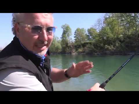 Feederom na Mrene iz reke Taro u Italiji