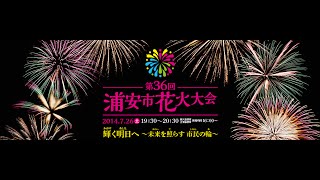 preview picture of video '浦安市花火大会2014　総集編　ミュージックスターマイン集（全7テーマ）Urayasu city fireworks festival.［HD］'