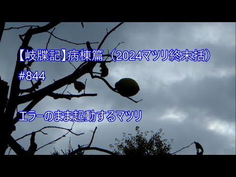 脳: この豆粒ほどの領域はあなたが思っているよりも重要です – 常に必要となります