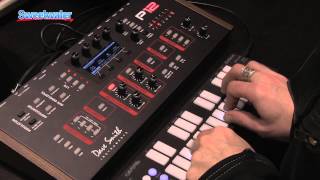 Dave Smith Instruments Prophet 12 Module - What To Know & Where To
