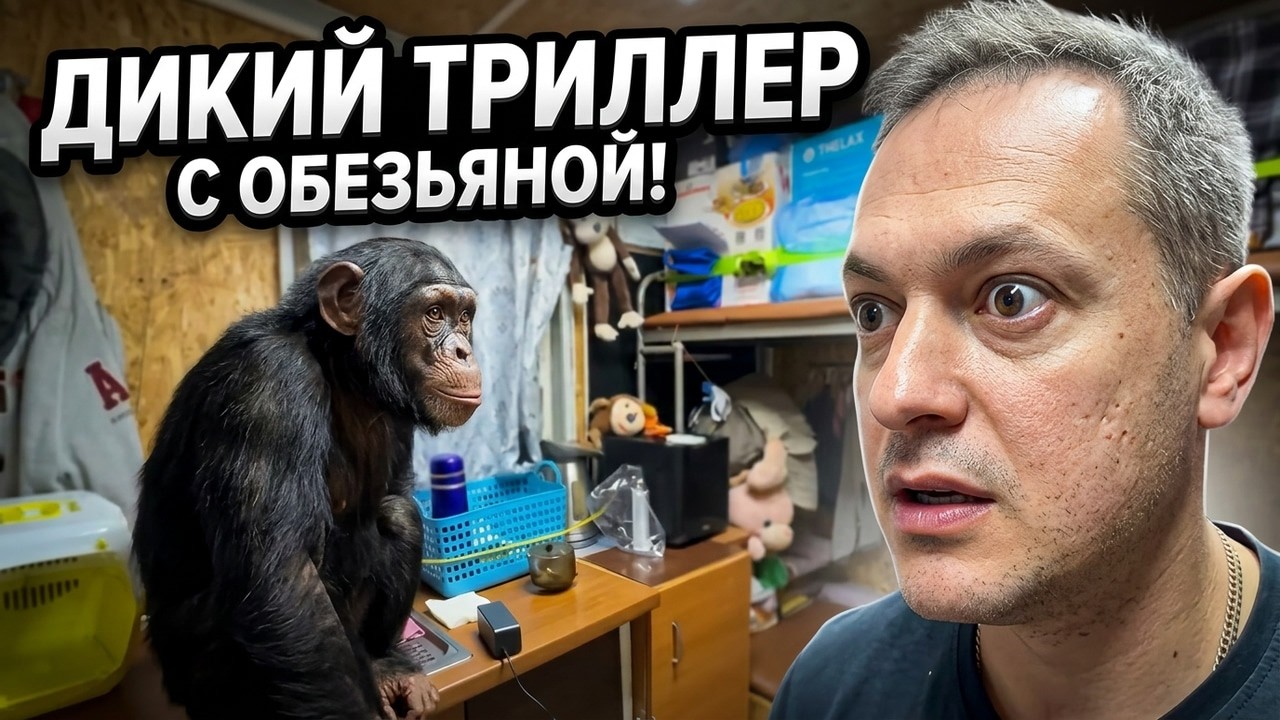 Невероятная Задержка! Почему Мы Не Выезжаем в Душанбе?